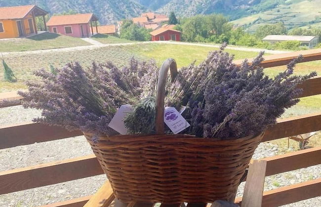 Azienda Agricola Saint Hubert - Foto 36