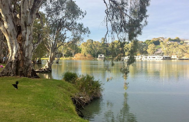 Echo Holiday Parks - Renmark - Foto 76