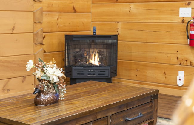 Teals Treasure Secluded Lakeside Cabin for 8! - Foto 23