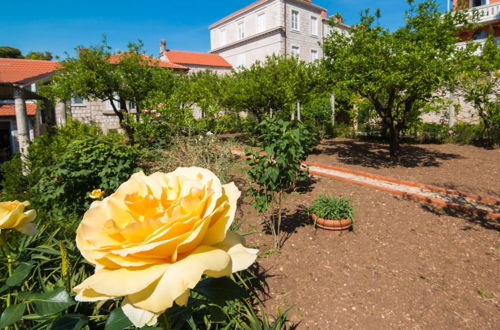 Photo 20 - Dvori With Garden, Free Parking Next To Sea