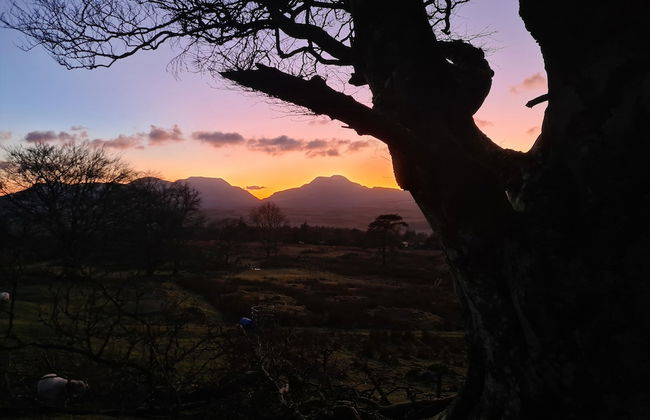 Rhiw Goch Inn Holiday Home - Foto 20