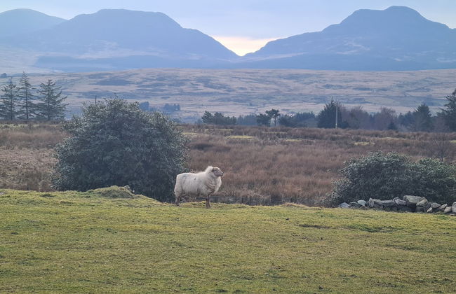Rhiw Goch Inn Holiday Home - Foto 13