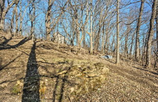 Photo 2 - 'the Burgundy Cabin' Iowa Retreat: Pond & Fire Pit