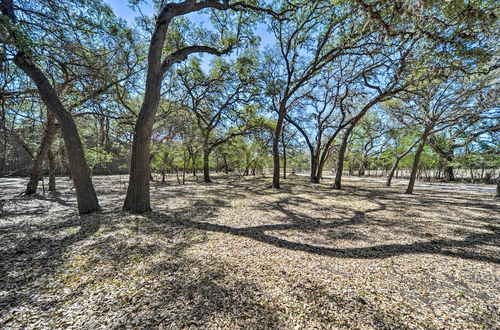 Photo 4 - Unique Stay: Historic Home Along Blanco River