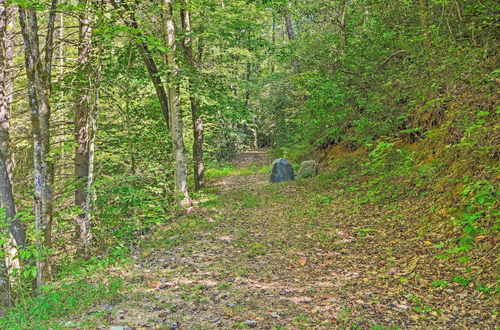 Photo 4 - Rustic Andrews Cabin Rental w/ Deck + Fire Pit