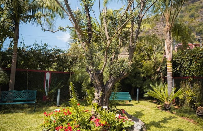 Quinta da Tia Briosa Casa da M e I - Foto 45