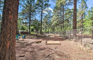 Photo 3 - Cozy Pinetop Cabin: Walk to Shops + Dining