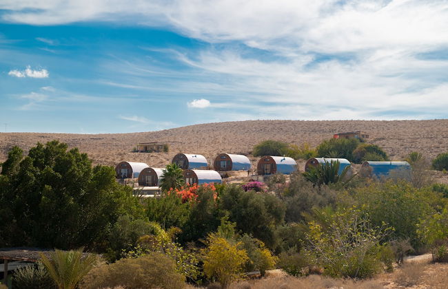 Carmey Avdat Farm - Foto 1