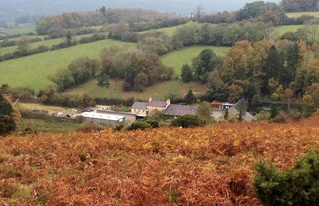 Relaxing Holidays in the Old Water Mill at Cwmiar - Foto 17