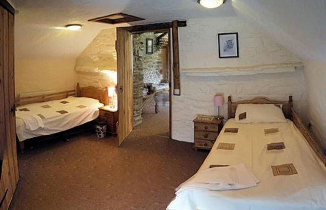 Relaxing Holidays in the Old Water Mill at Cwmiar - Foto 3