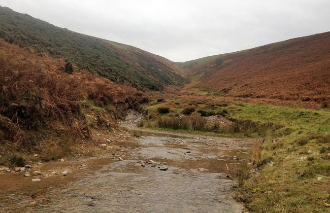 Relaxing Holidays in the Old Water Mill at Cwmiar - Foto 11