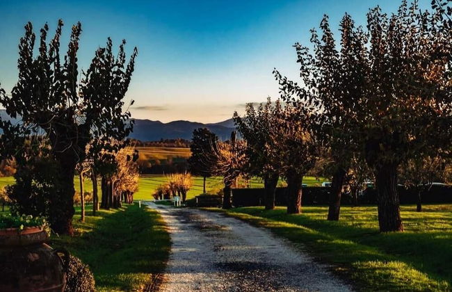La Polledrara Relais di Campagna - Photo 19