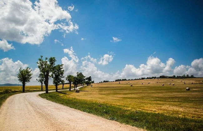 La Polledrara Relais di Campagna - Photo 24