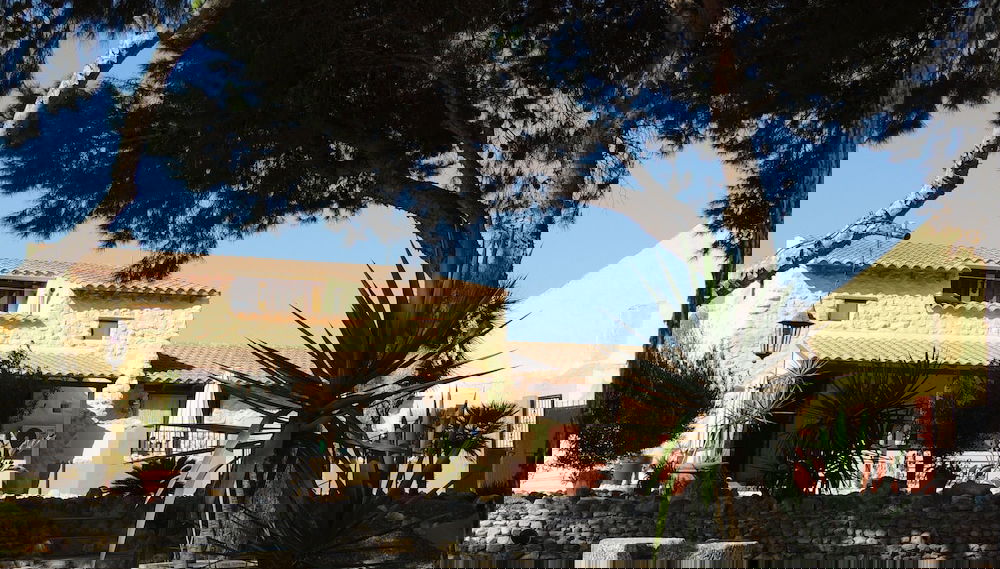 Primary image