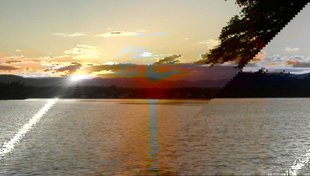 Image principale
