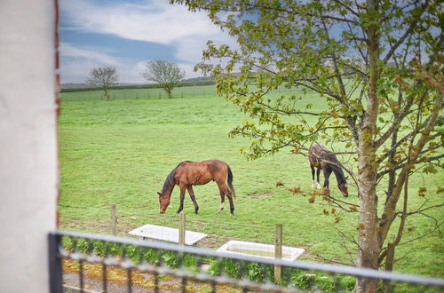 Photo 20 - Host Stay The Paddock