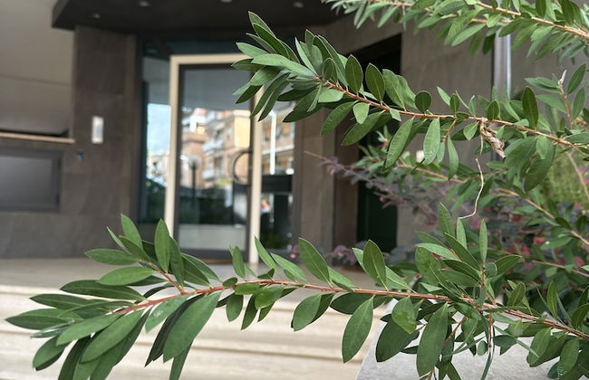 NLM Boutique Suites - Photo 58