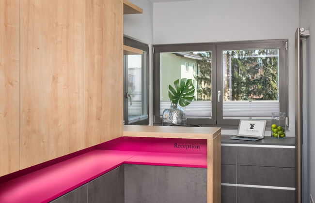 Vila Emona - Central Apartments - Free Parking - Foto 2