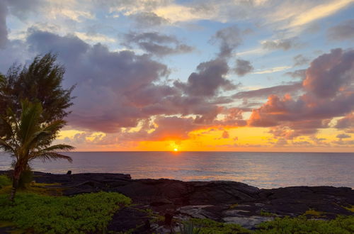 Photo 29 - Direct Oceanfront, Big Island Vacation Rental Home