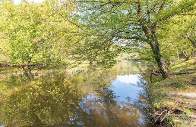 2 Bedroom Home in Ellijay! Private Hot Tub and Sunset Views - Foto 49