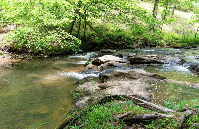 2 Bedroom Home in Ellijay! Private Hot Tub and Sunset Views - Foto 47