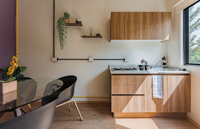 Mariano Escobedo Apartments by VH - Photo 61