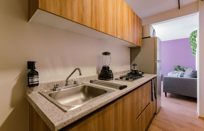 Mariano Escobedo Apartments by VH - Photo 49