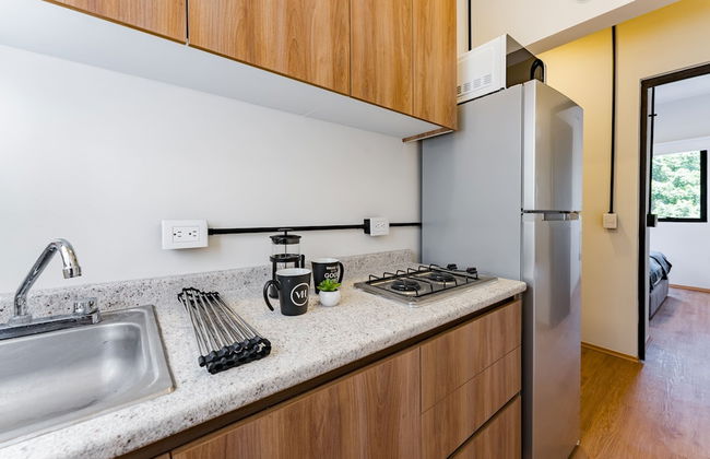 Mariano Escobedo Apartments by VH - Photo 58