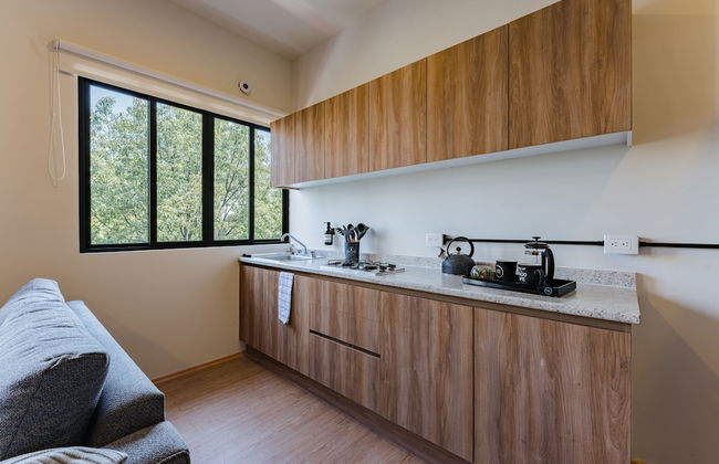 Mariano Escobedo Apartments by VH - Photo 50