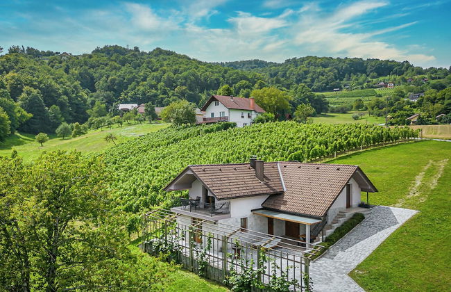 Vineyard Cottage Radovlja With Sauna - Foto 1