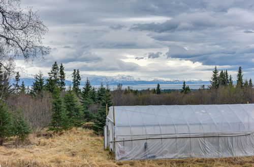 Photo 12 - Alaska Vacation Rental w/ Deck + Mountain Views