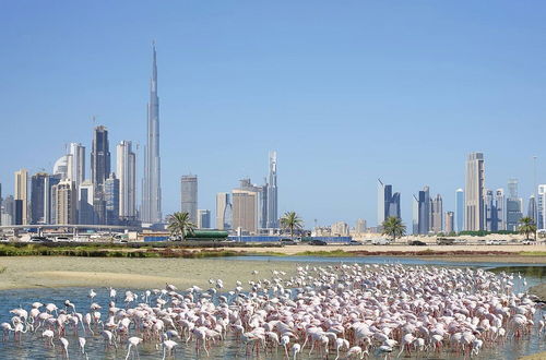 Foto 32 - Cosmos Living - Dubai Creek Harbour