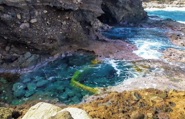 Whale Tails Hotel - Photo 49