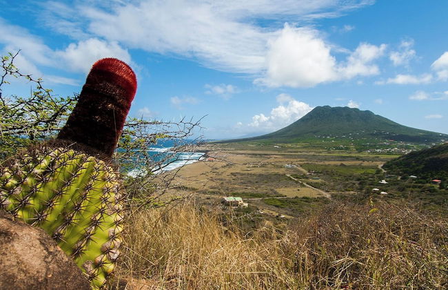 Whale Tails Hotel - Photo 64
