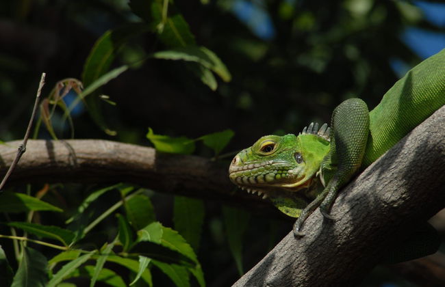 Whale Tails Hotel - Photo 51