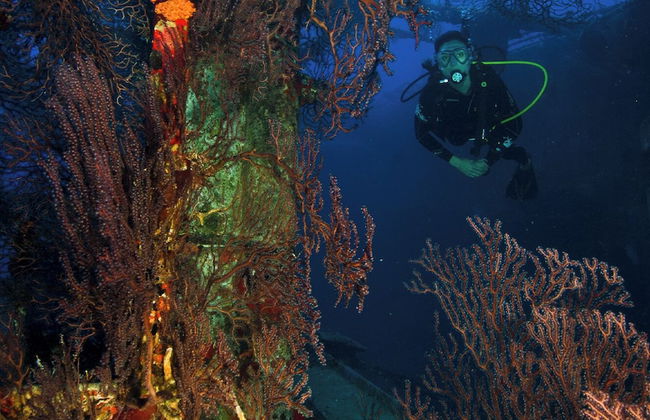 Whale Tails Hotel - Photo 53