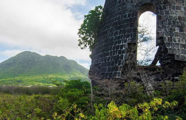 Whale Tails Hotel - Photo 42