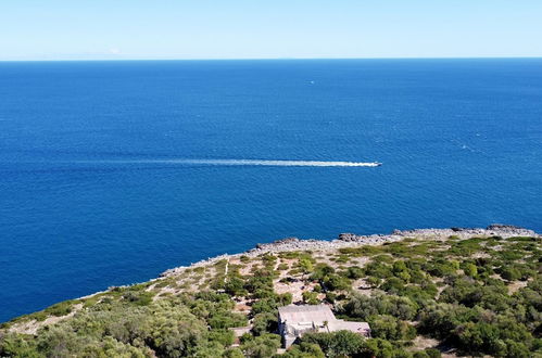 Photo 53 - Villa Marinus - Con Piscina Privata e Splendida Vista Mare