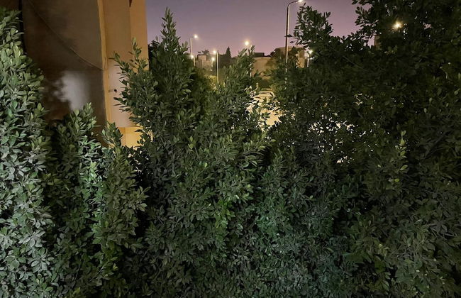Beverly hills villa with garden - Foto 71