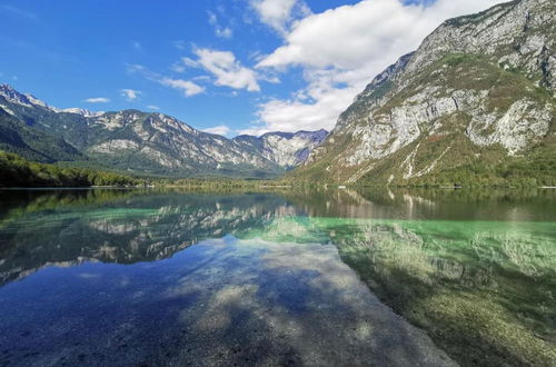 Photo 12 - Alpine Chalet Metka at Lake Bohinj