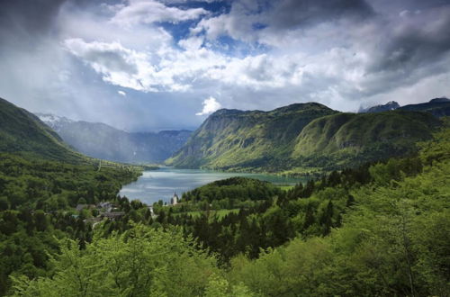 Photo 15 - Alpine Chalet Metka at Lake Bohinj