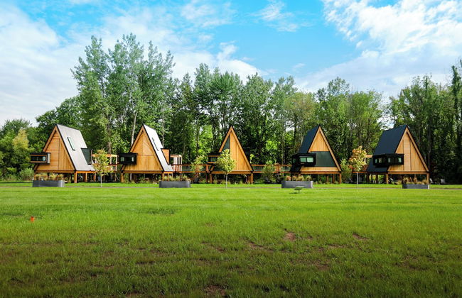 Finger Lakes Treehouse & Spa - Foto 59