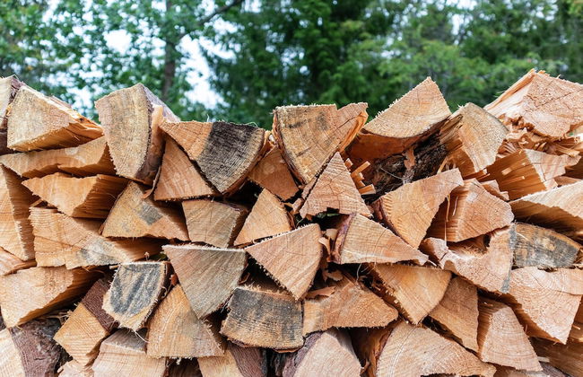Finger Lakes Treehouse & Spa - Foto 62