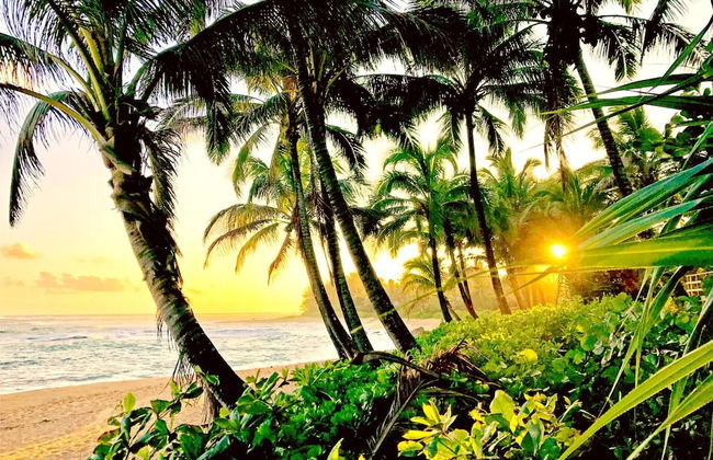 Islands at Mauna Lani IML-E4 by KBM - Foto 33