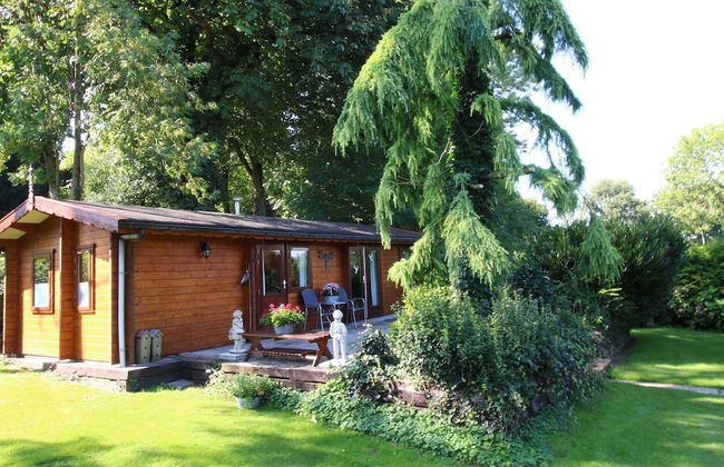 Chalet in Netherlands With Private Garden - Foto 13