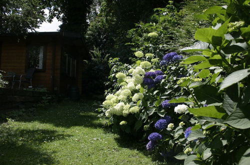 Photo 11 - Cozy Chalet With gas Fireplace, in the Achterhoek