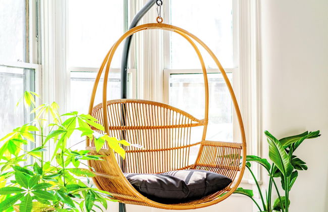 Jungle Thyme - Foto 36