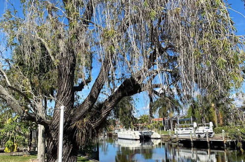 Photo 35 - Tamiami On The Canal