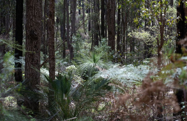 Noble River Estate - Foto 54