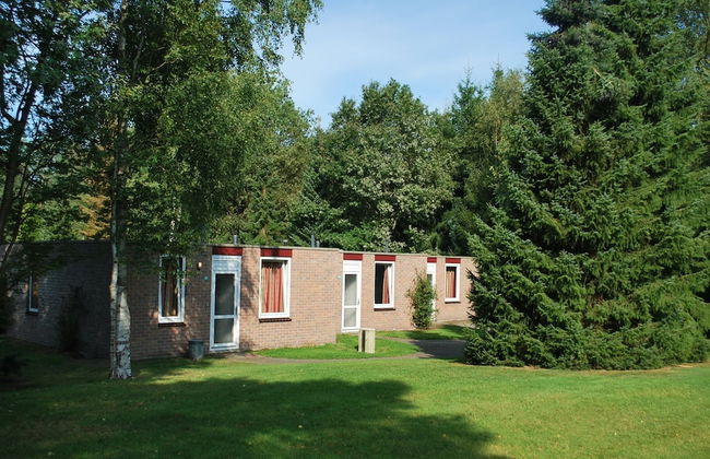 Single-storey House With Garden, in a Natural Area - Foto 14